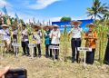 Sinergi ketahanan Pangan, Pemda Konawe Hadiri Panen Raya di Rutan Unaaha