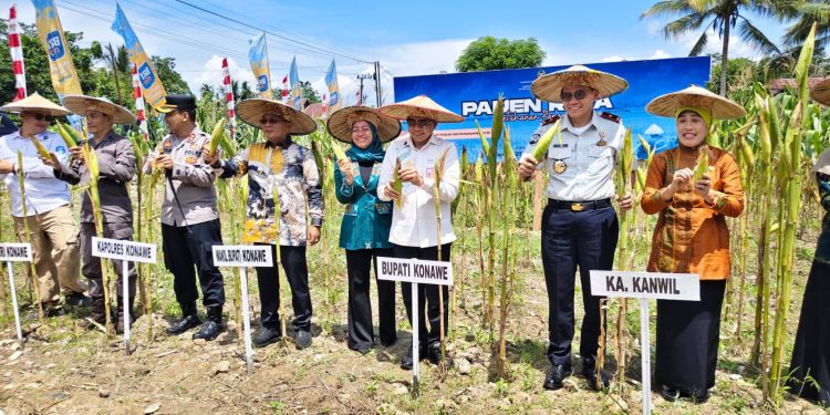 Sinergi ketahanan Pangan, Pemda Konawe Hadiri Panen Raya di Rutan Unaaha
